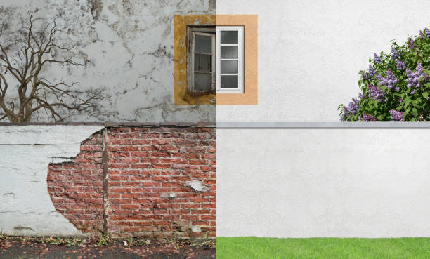 Best Environmental Consulting for Mold Prevention  in Memphis, FL